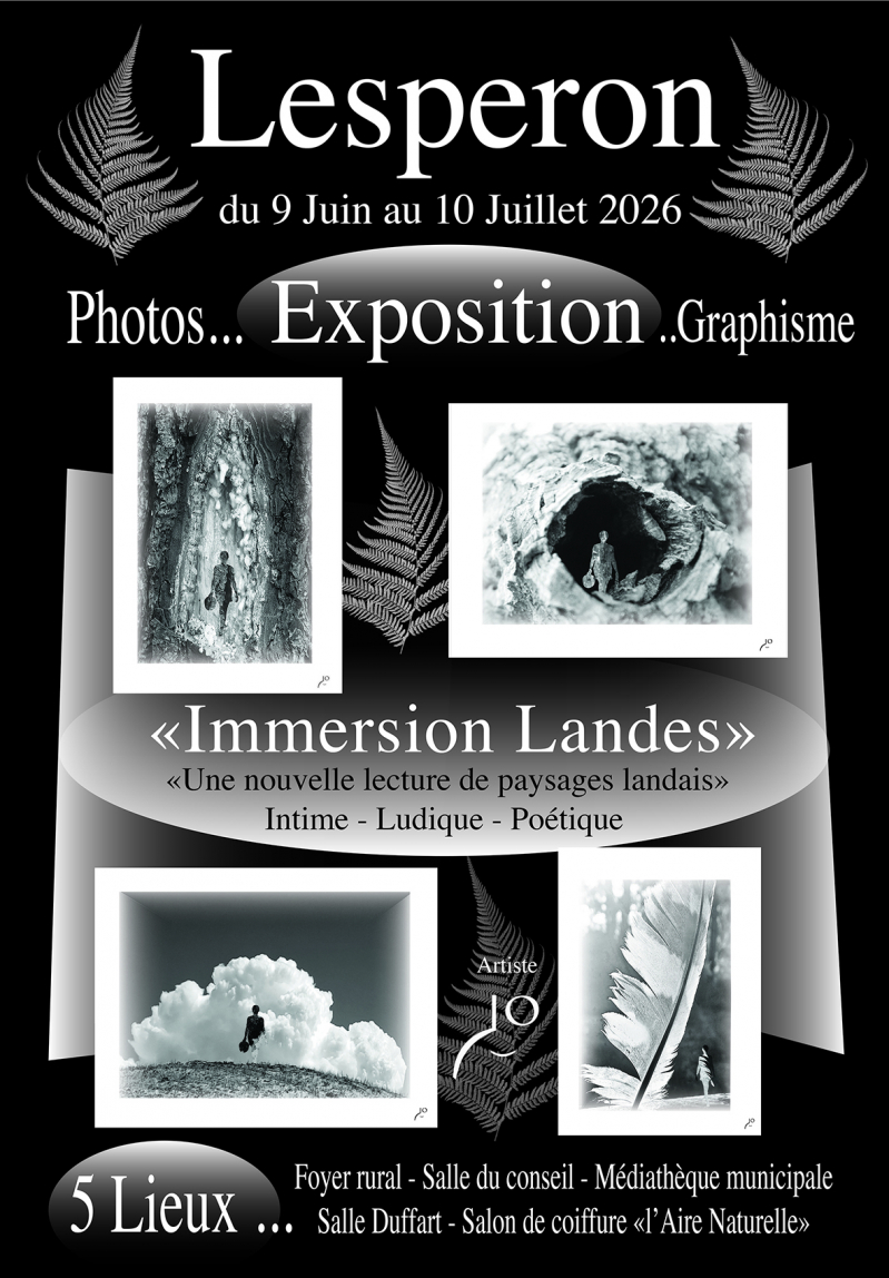 AFFICHE-R&Eacute;SEAUX.jpg